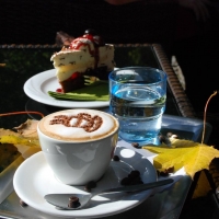 Senses Lounge Cafe Bar Foto 1